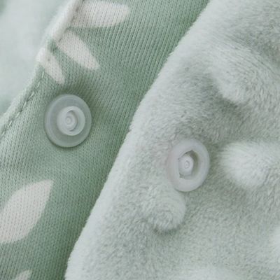 Nid-d'ange-délicat-feuilles-vert